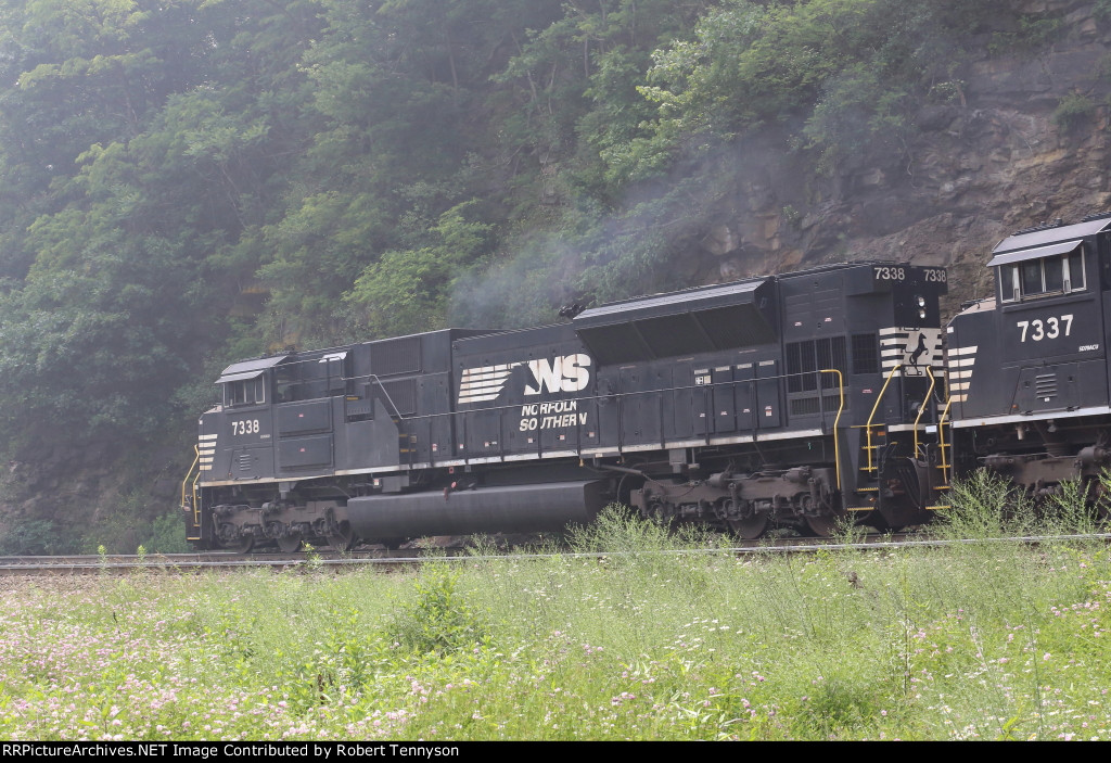 NS 7338